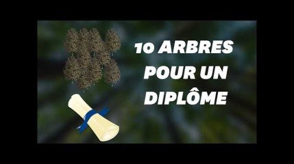 Tải video: Ces étudiants devront planter 10 arbres pour avoir leur diplôme