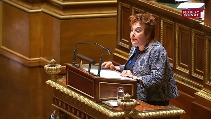 Esther Benbassa introduit le débat sur le cannabis thérapeutique