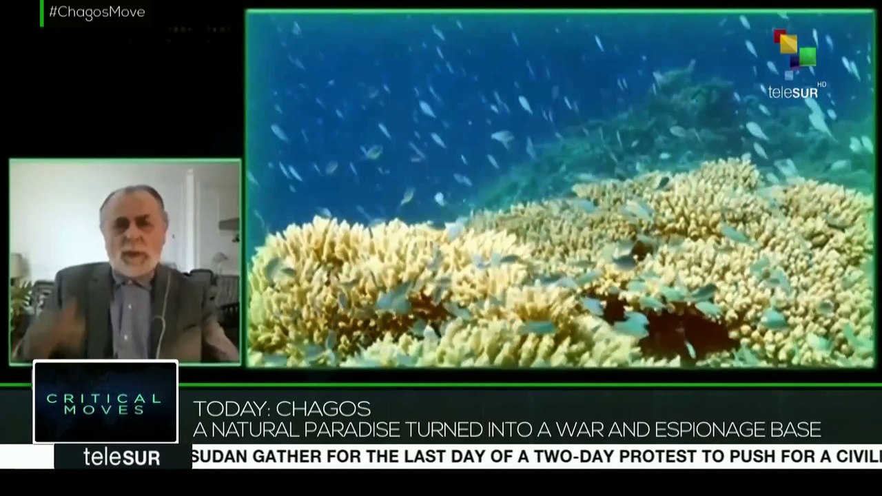 Critical Moves: Chagos: A Natural Paradise Turned Into a War