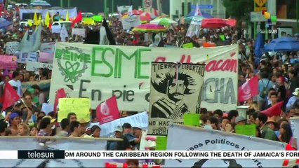 Interviews From Mexico: Flor Goche