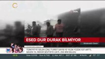 Esed dur durak bilmiyor