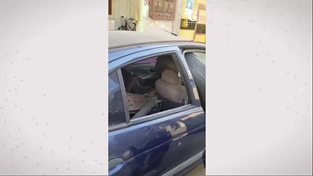 Cão farejador encontra drogas dentro de carro abandonado em Vila Velha