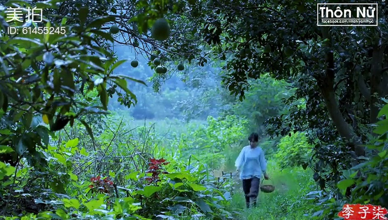 Lý Tử Thất