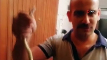Yılanlar evi bastı