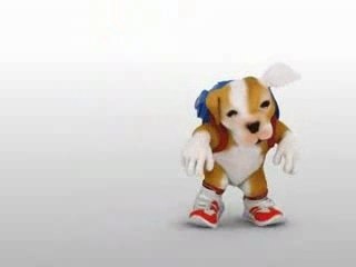 Factor X Xs Perrito  Cantando Regueton