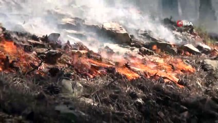 Yangına havadan, karadan müdahale sürüyor