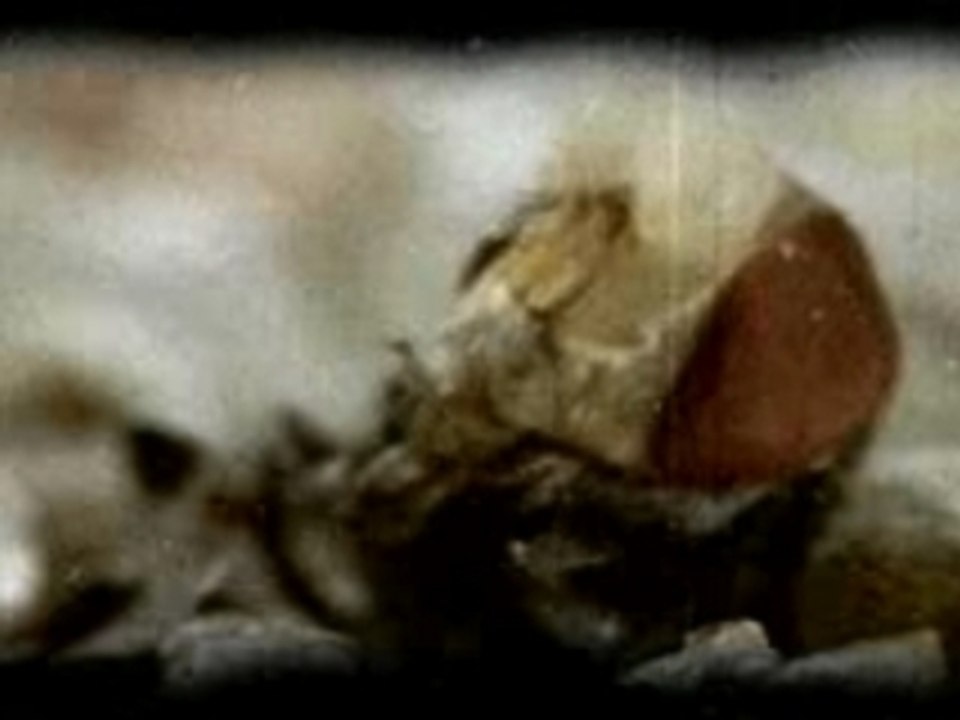 Slipknot - Wait And Bleed (VideoClip)