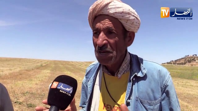 غليزان: تراجع في إنتاج العدس والفلاحون يطالبون بالنظر إلى مشاكلهم