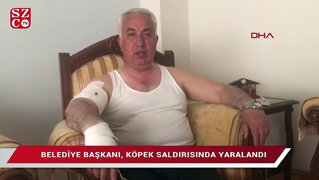 Arpaçay Belediye Başkanı, köpek saldırısında yaralandı