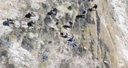 Mağaraya sıkıştırılan teröristler böyle teslim oldu