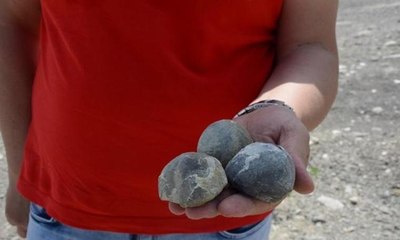 Zonguldak'ta bulundu... Dinazorlar çağından kalma!