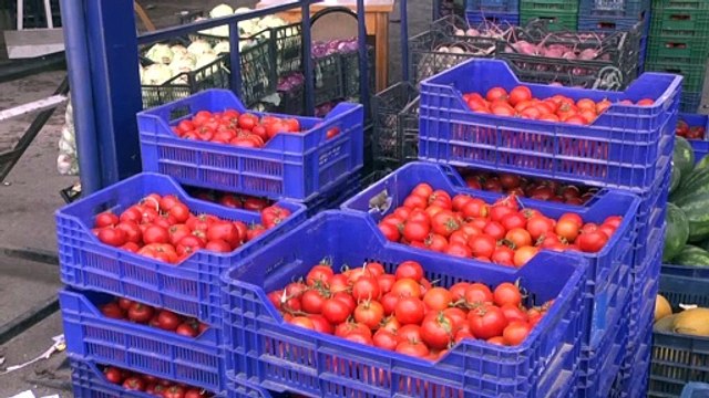 Türkiye 57 ülkeye domates ihraç etti - ANTALYA