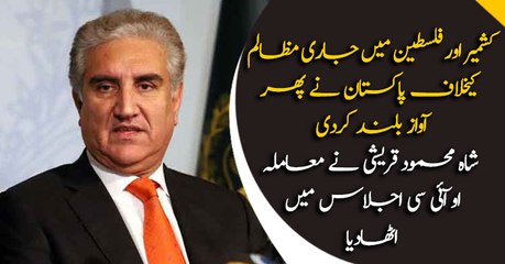 FM Shah raises Kashmir Issue in OIC Summit