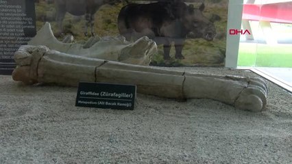 KAYSERİ 7,5 milyon yıllık fosillerin sergilendiği Bilim Merkezi'ne yoğun ilgi