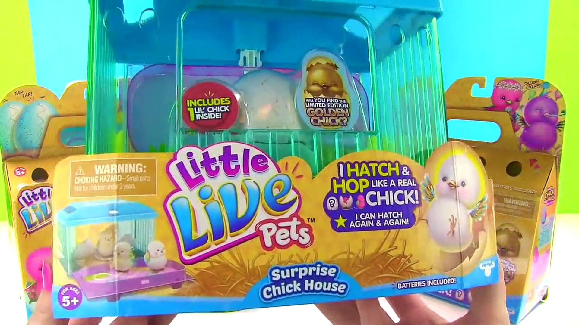 Little Live Pets | Poussin surprise | Jouet interactif de collection mignon poussin copeaux et robinets | éclore hors de l'œuf et saute