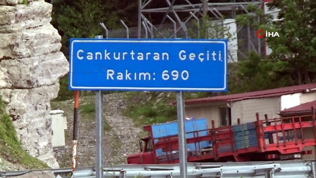 Tünel yapılınca eski karayolu büyükbaş hayvanlara kaldı