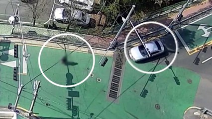 부동산 사기 들통...교통사고로 투자자 살해 시도 / YTN