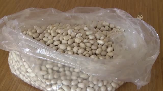 Tescilli Akkuş fasulyesinde rekolte hedefi 2 bin ton