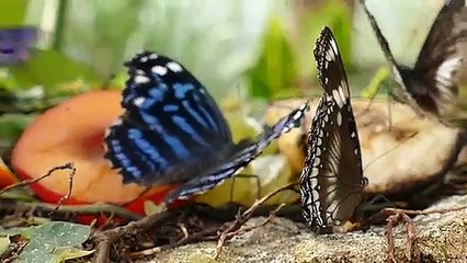 안전놀이터 바로가기 ▶  yong79。com 맥스카지노 づち운전자를