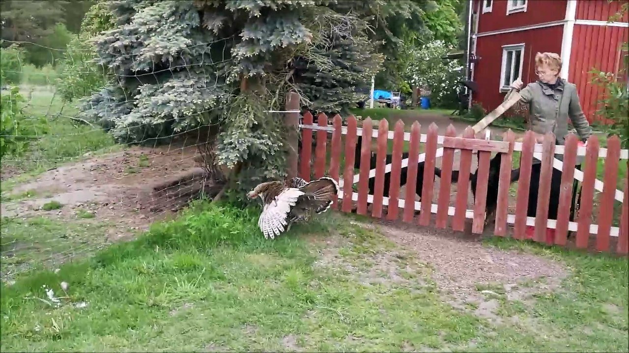 Mother instincts