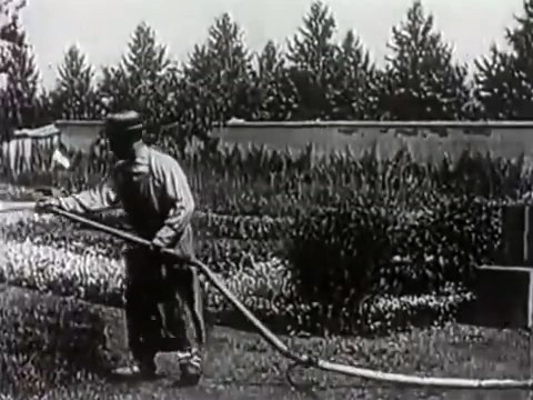 Les Freres Lumiere Larroseur Arrose 1895