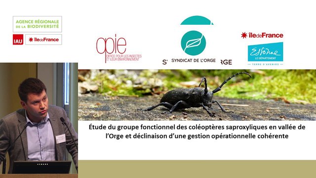 17 - Lucile FERRIOT et Xavier HOUARD - Rencontre technique Continuités écologiques et forêts 2019