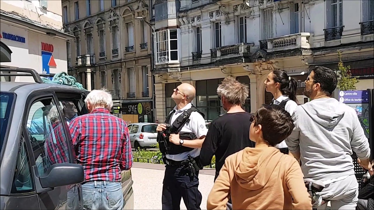 Bourg-en-Bresse : les 5 000 abeilles sont délogées du centre-ville