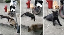 Quando és apanhado no bem bom com uma gata pela tua companheira...