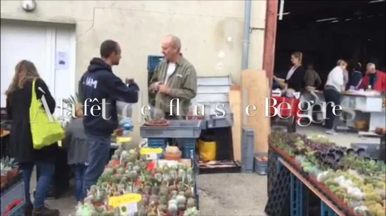 10 à 15 000 personnes attendues à la fête des fleurs de Bergères dans l'Aube