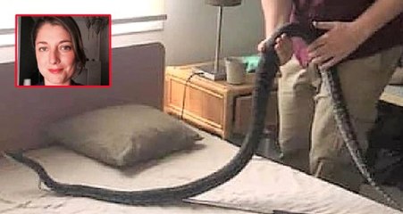 Avustralya'da uyuduğu sırada pitonla göz göze gelen kadının hayatını soğukkanlılığı kurtardı