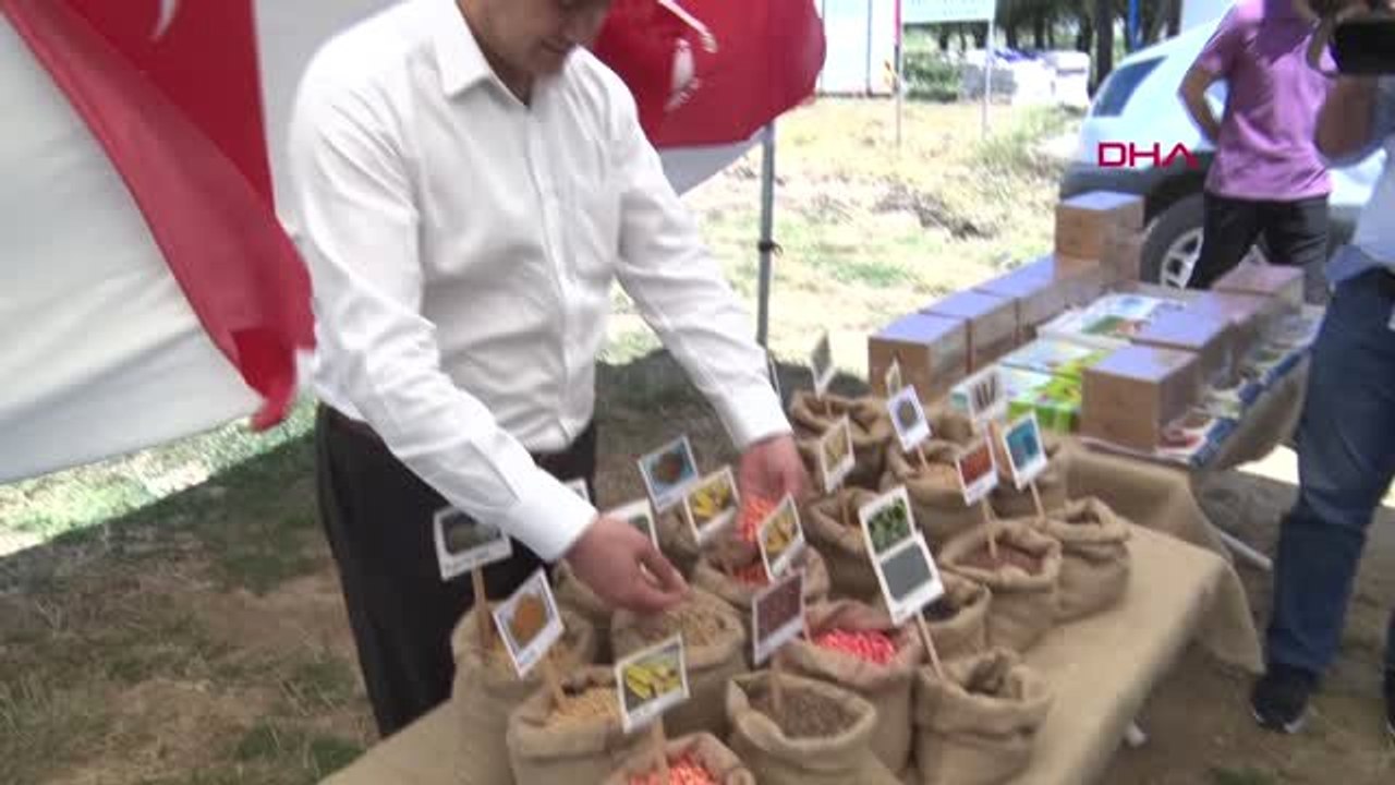 Yerli tohumu yaygınlaştırmak amacıyla Silivri'de ekimler yapıldı