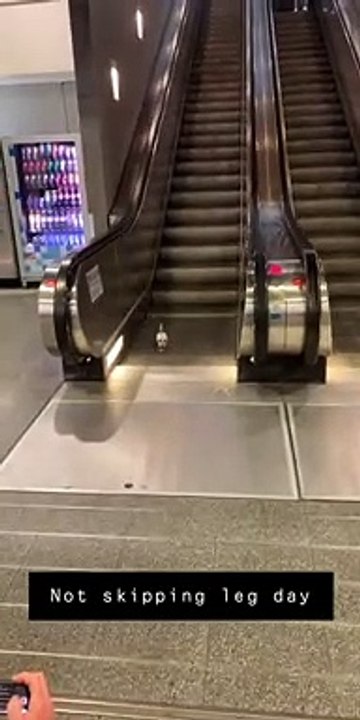 Sport d'un pigeon sur un escalator.. en sens inverse !