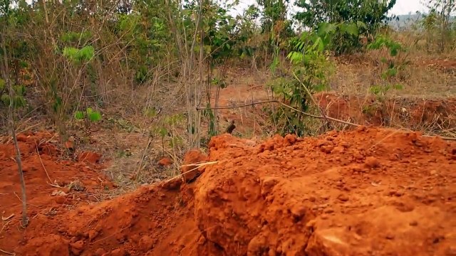 Dig to build Most Awesome Underground House and Underground Swimming Pool