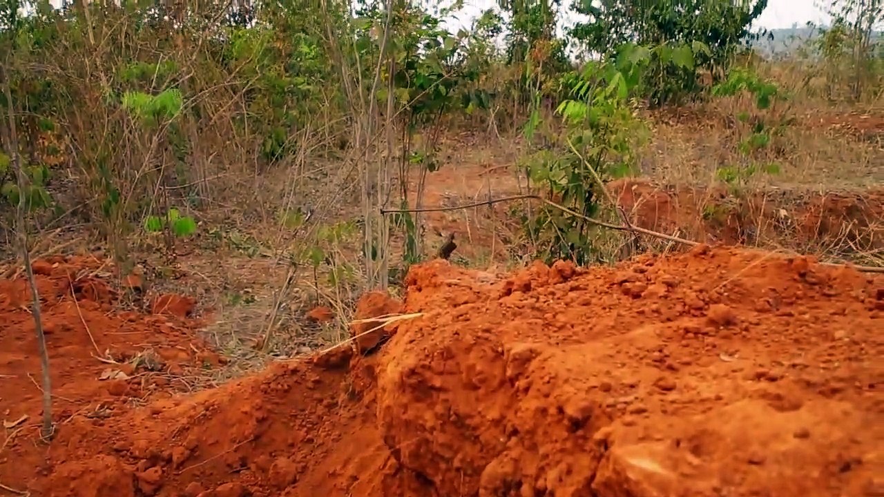 Dig to build Most Awesome Underground House and Underground Swimming Pool