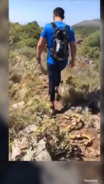 Il fait une très mauvaise blague à son ami en attachant un faux serpent à son sac à dos