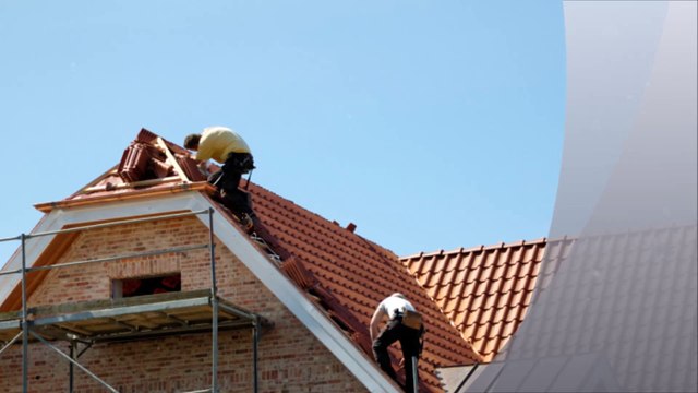 Salvador's Painting - (720) 650-4117