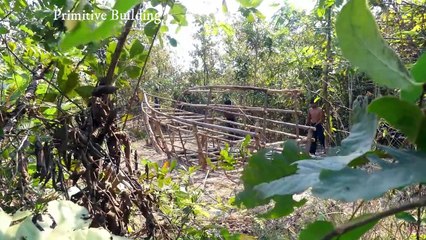 Amazing Build Beautiful Swimming Pool  around Boat House