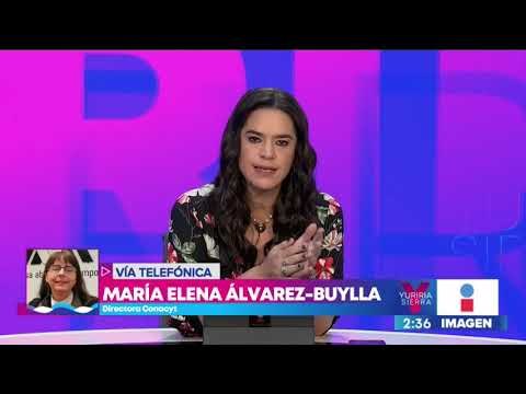 ¿CONACYT habría pagado menú gourmet para empleados? | Noticias con Yuriria Sierra