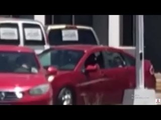 Despiden con huevos a priístas en Baja California | Qué Importa