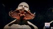 Esculturas de la exposición de Guillermo del Toro en Guadalajara | Noticias con Ciro Gómez Leyva