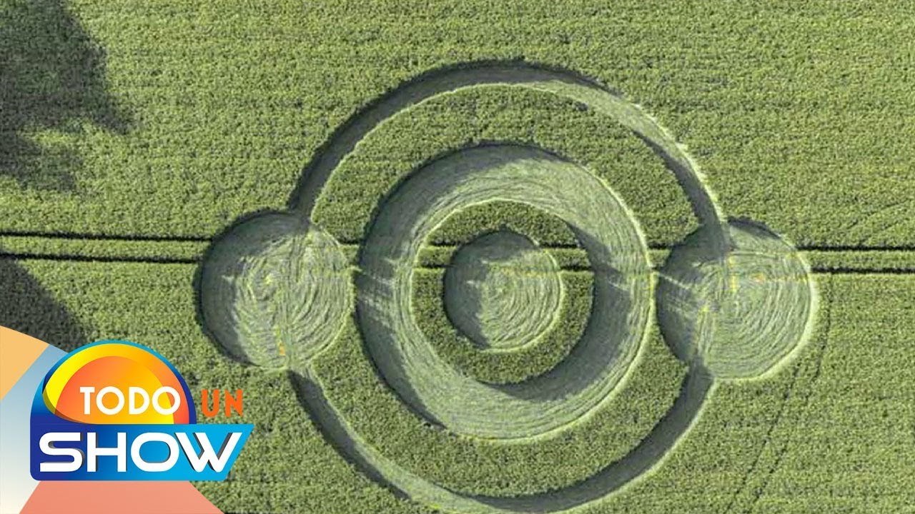 Extraterrestres: El misterio de los extraños círculos o figuras que aparecen en los campos.