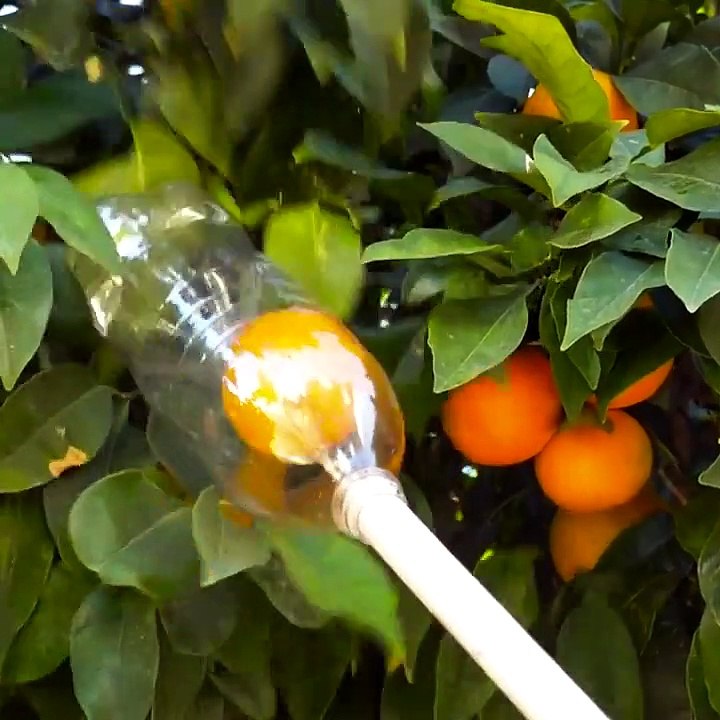25_CRAZY_LIFE_HACKS_THAT_WORK_MAGIC