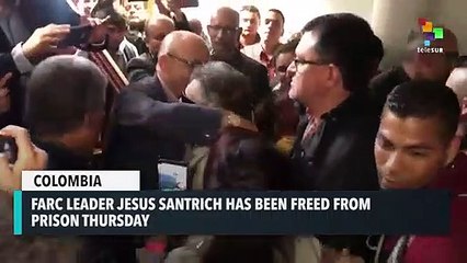 FARC Leader Jesus Santrich Freed At Top Court’s Order