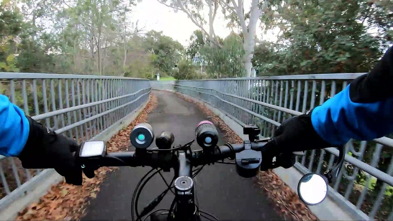 Pedestrian and Cyclist Have a Close Call