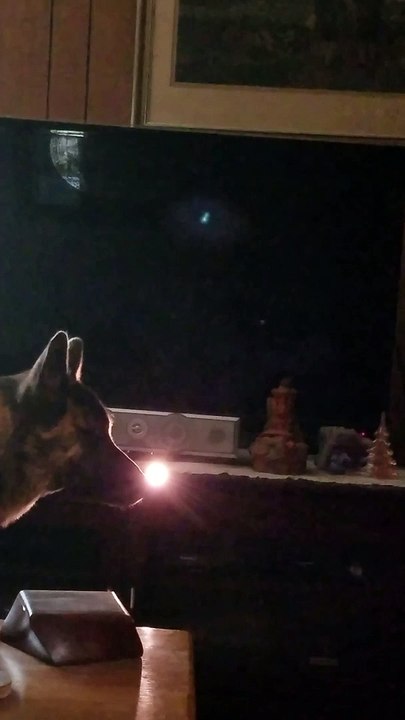 A Flashlight Session Learning About the Apparition As Our Dog Interrupts Benjamin in My Haunted Farmhouse