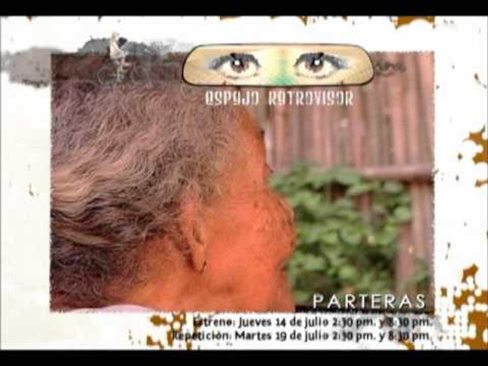 ESPEJO RETROVISOR - PARTERAS