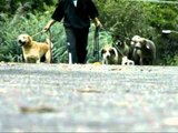 Coja Oficio 16 - Entrenador de perros