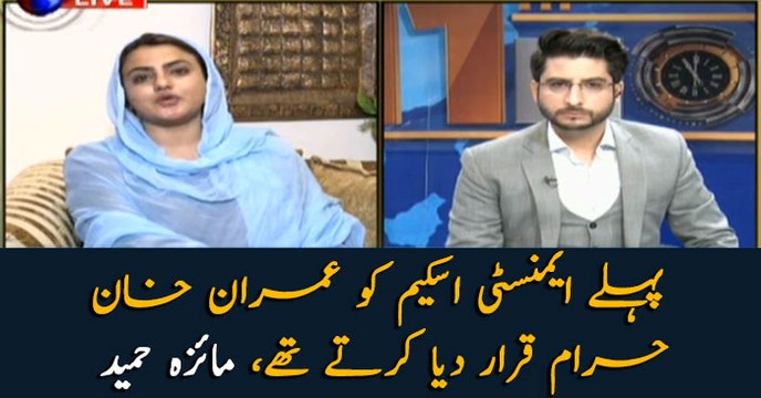 PM Imran Khan used to declare the amnesty scheme prohibited: Maiza Hameed