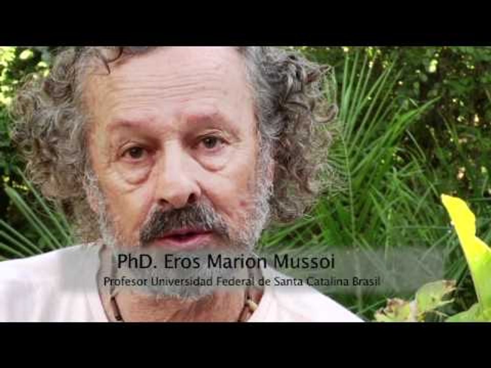 personajes ambiental Eros Marion Mussoi youtube