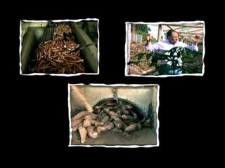 Capítulo 2 Serie "De Mentes": Héctor Samuel Villada Castillo - Universidad del Cauca